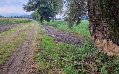 Binnenkanal: Verwaltungsrat macht mit den bewährten Kräften weiter